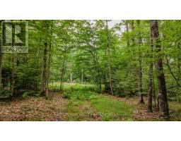 0 Peplinskie Road, Madawaska Valley, ON K0J1L0 Photo 14
