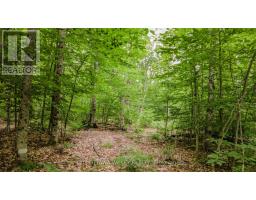 0 Peplinskie Road, Madawaska Valley, ON K0J1L0 Photo 10