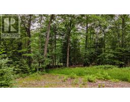 0 Peplinskie Road, Madawaska Valley, ON K0J1L0 Photo 18