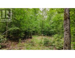 0 Peplinskie Road, Madawaska Valley, ON K0J1L0 Photo 13