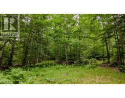 0 Peplinskie Road, Madawaska Valley, ON K0J1L0 Photo 16