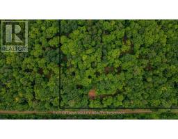 0 Peplinskie Road, Madawaska Valley, ON K0J1L0 Photo 7