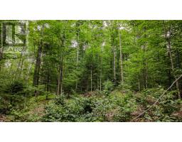 0 Peplinskie Road, Madawaska Valley, ON K0J1L0 Photo 11