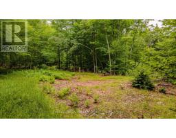 0 Peplinskie Road, Madawaska Valley, ON K0J1L0 Photo 12
