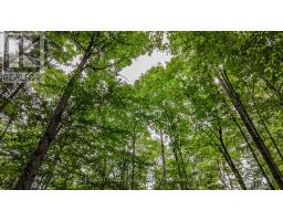 0 Peplinskie Road, Madawaska Valley, ON K0J1L0 Photo 8