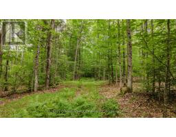 0 Peplinskie Road, Madawaska Valley, ON K0J1L0 Photo 9