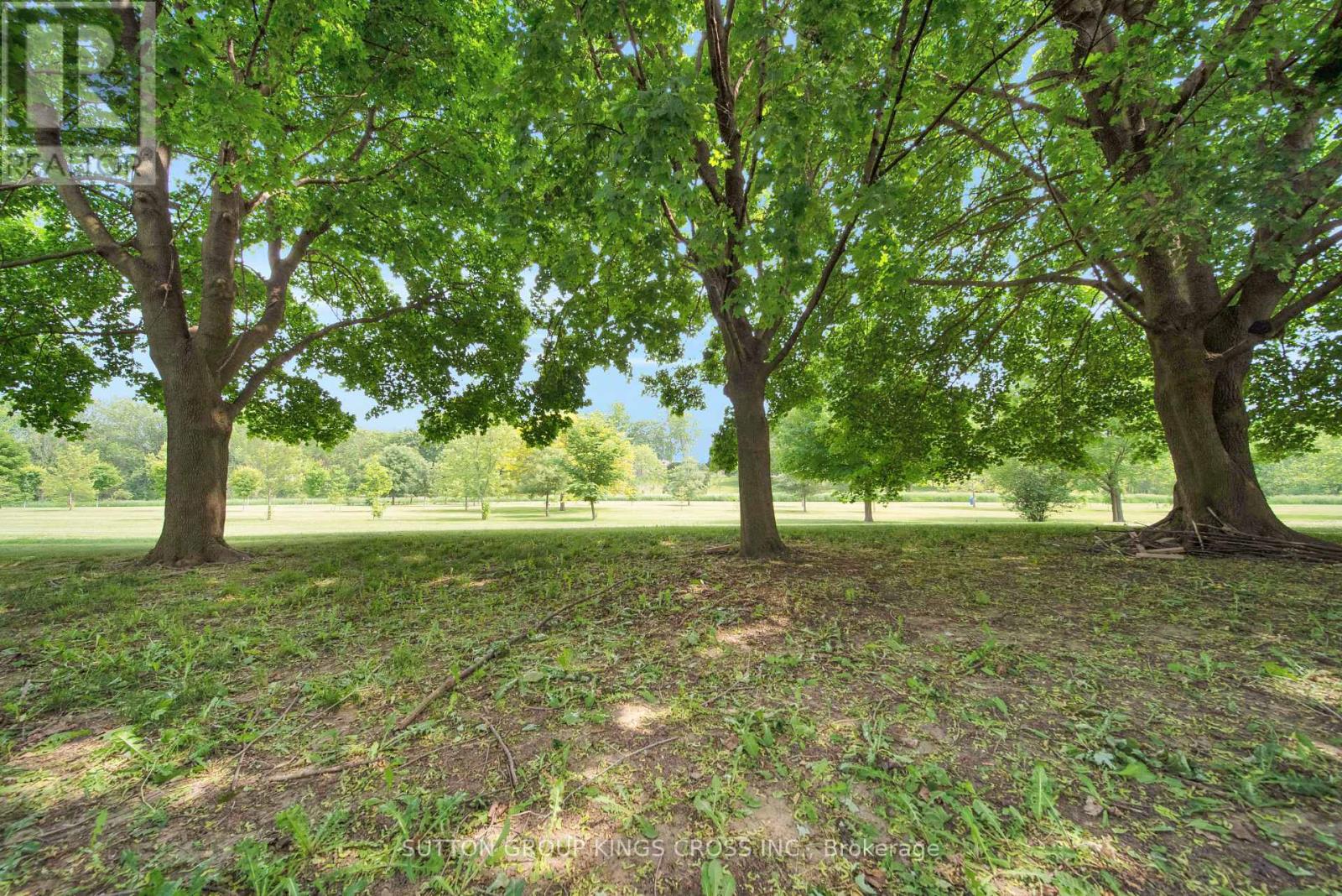 34 HILLCREST AVENUE - Image 5