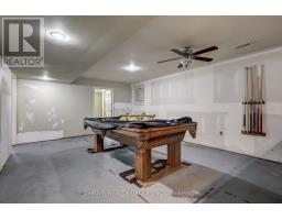 21217 Thames Road, Southwest Middlesex, ON N0L1A0 Photo 42