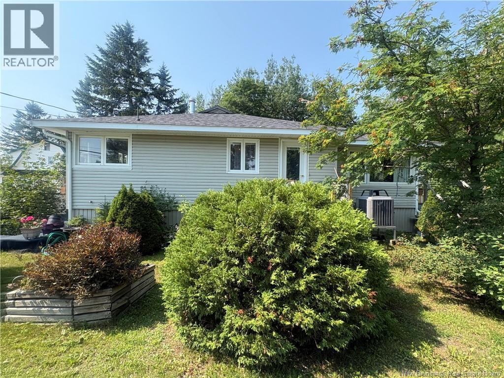 233 KING GEORGE - 2