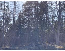 Lot 21-9 Mary Cecelia Ridge, Antigonish County, NS B0H1P0 Photo 21