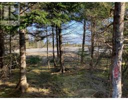 Lot 21-10 Mary Cecelia Ridge, Antigonish County, NS B0H1P0 Photo 22