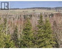 Lot 21-9 Mary Cecelia Ridge, Antigonish County, NS B0H1P0 Photo 20