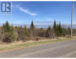 Lot 21-10 Mary Cecelia Ridge, Antigonish County, NS B0H1P0 Photo 23