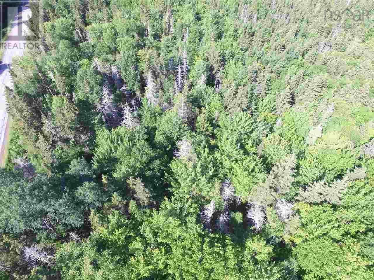 Property 9 of 10 of Lot 89-1 Highway 5 (Kempt Head Rd)