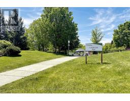 50 Springer Drive, Richmond Hill, ON L4C0G1 Photo 46