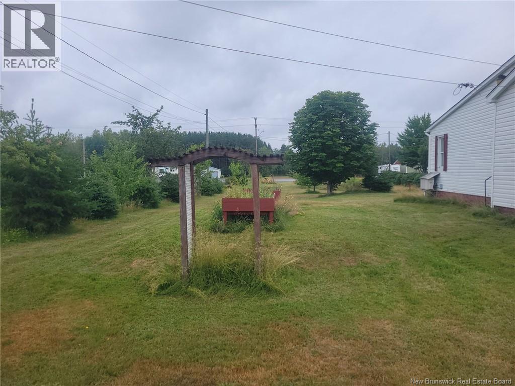 197 Principale - Image 5