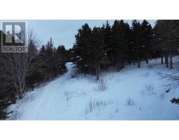 3166 Highway 19, Craigmore, NS B0E1P0 Photo 23
