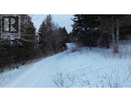 3166 Highway 19, Craigmore, NS B0E1P0 Photo 21