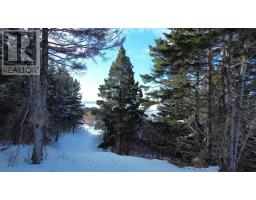 3166 Highway 19, Craigmore, NS B0E1P0 Photo 14