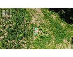 3166 Highway 19, Craigmore, NS B0E1P0 Photo 8