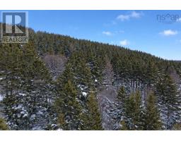 3166 Highway 19, Craigmore, NS B0E1P0 Photo 28