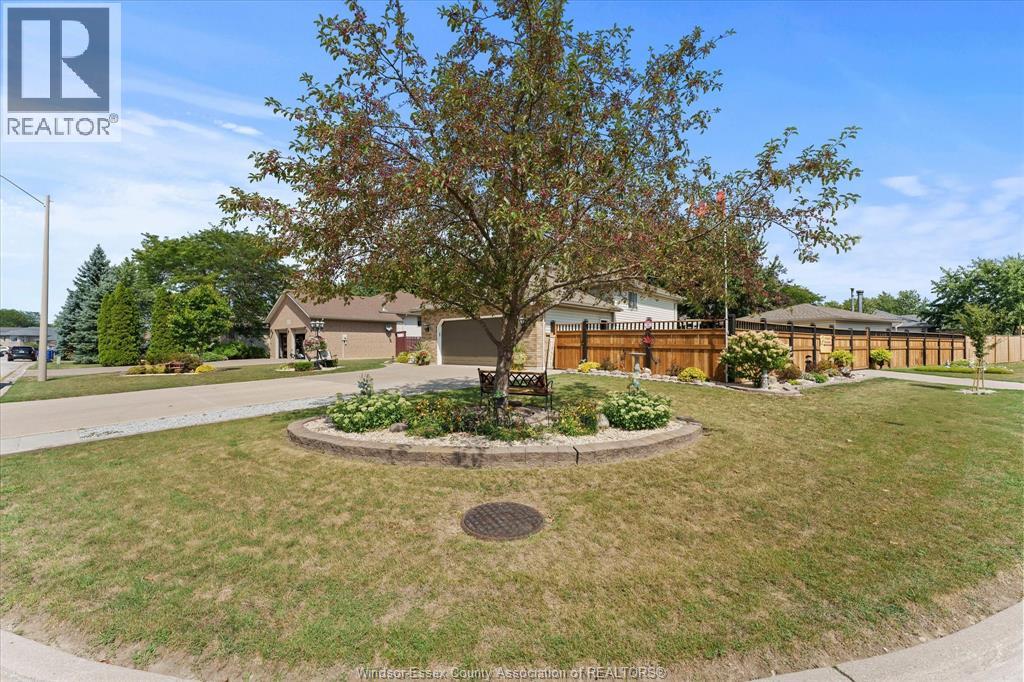 256 ASHWOOD - 4