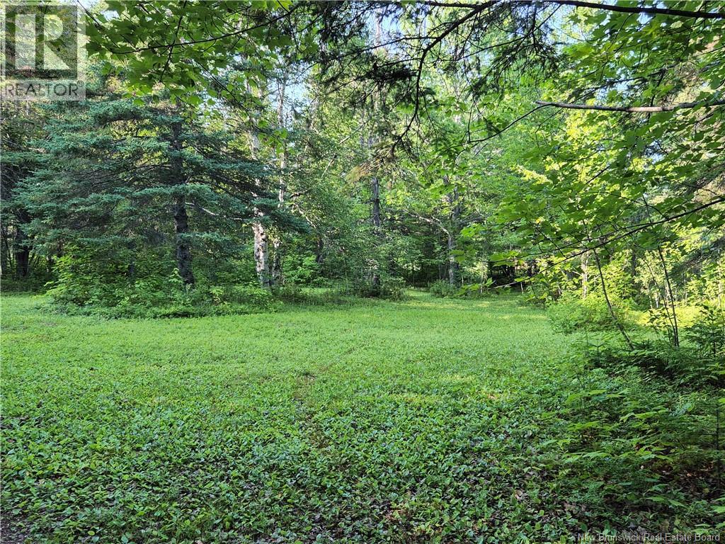1147 rue Fondateurs - Image 10