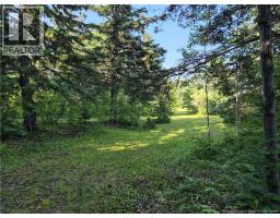 1147 Rue Fondateurs, Paquetville, NB E8R1B3 Photo 15