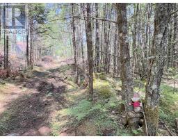 1894 Highway 103, Sable River, NS B0T1V0 Photo 19
