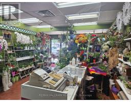 2373 Kingston Road, Toronto, ON M1N1V1 Photo 7
