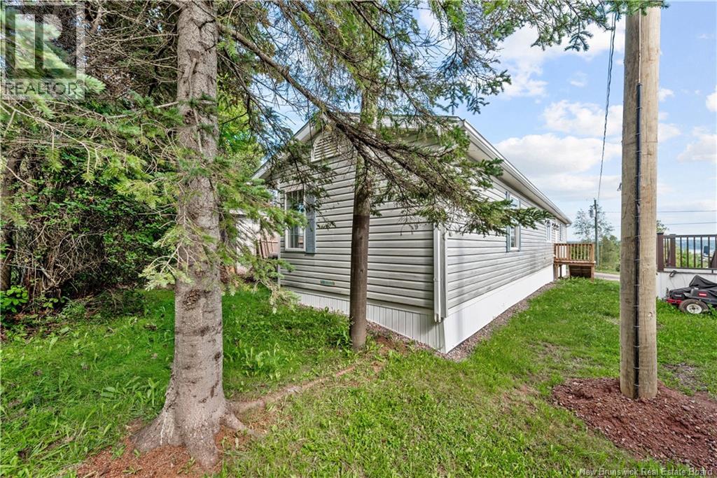 37 Young Street - 18