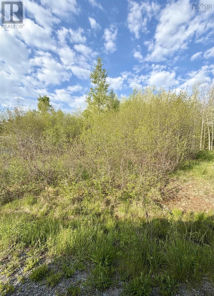Property 3 of 5 of Lot 19 Belair Drive