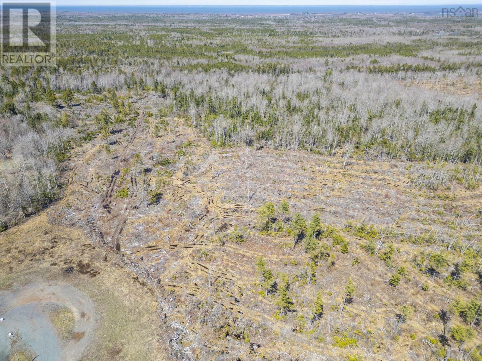 Property photo of 7013 6 Highway
