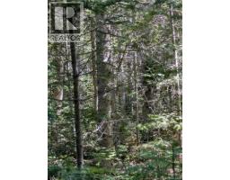 28 Acres Rue Des Fondateurs, Petit Paquetville, NB E8R1B3 Photo 7