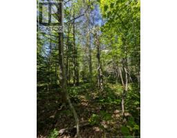 28 Acres Rue Des Fondateurs, Petit Paquetville, NB E8R1B3 Photo 10