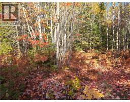 28 Acres Rue Des Fondateurs, Petit Paquetville, NB E8R1B3 Photo 6