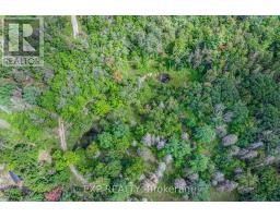 6608 Highway 28, North Kawartha, ON K0L1A0 Photo 44