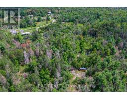 6608 Highway 28, North Kawartha, ON K0L1A0 Photo 45