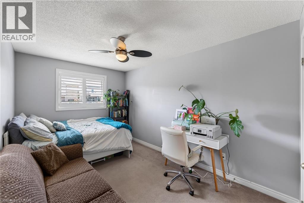 11 ELDERBERRY Avenue - 24