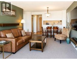 515 Riverside Drive Unit# 1303, Windsor, ON N9A7C3 Photo 21