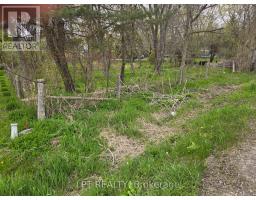 Lot Metro Road N, Georgina, ON L4P3C8 Photo 8