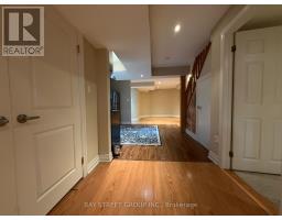 56 Albright (lower) Crescent, Richmond Hill, ON L4E4Z4 Photo 8