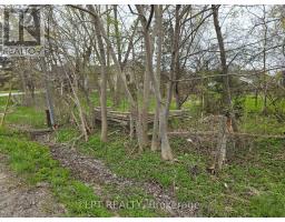 Lot Metro Road N, Georgina, ON L4P3C8 Photo 9