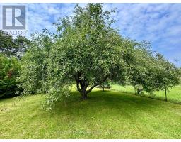 59 Jane Street, Kawartha Lakes, ON K0M1A0 Photo 29