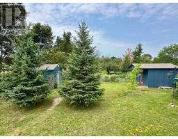 59 Jane Street, Kawartha Lakes, ON K0M1A0 Photo 31
