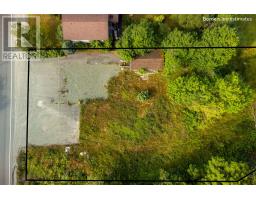 1176 Torbay Road thumbnail 7