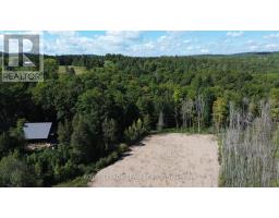4203 Matawatchan Road, Greater Madawaska, ON K0J2R0 Photo 11