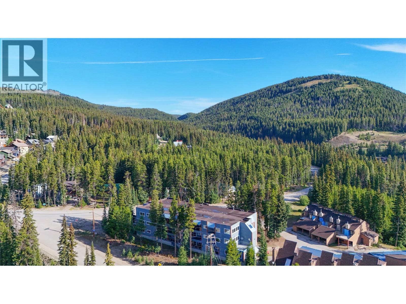 #202 1191 Apex Mountain Road - Image 27
