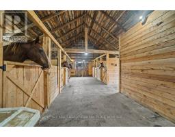 814 Meach Road, Greater Napanee, ON K0K2Z0 Photo 32