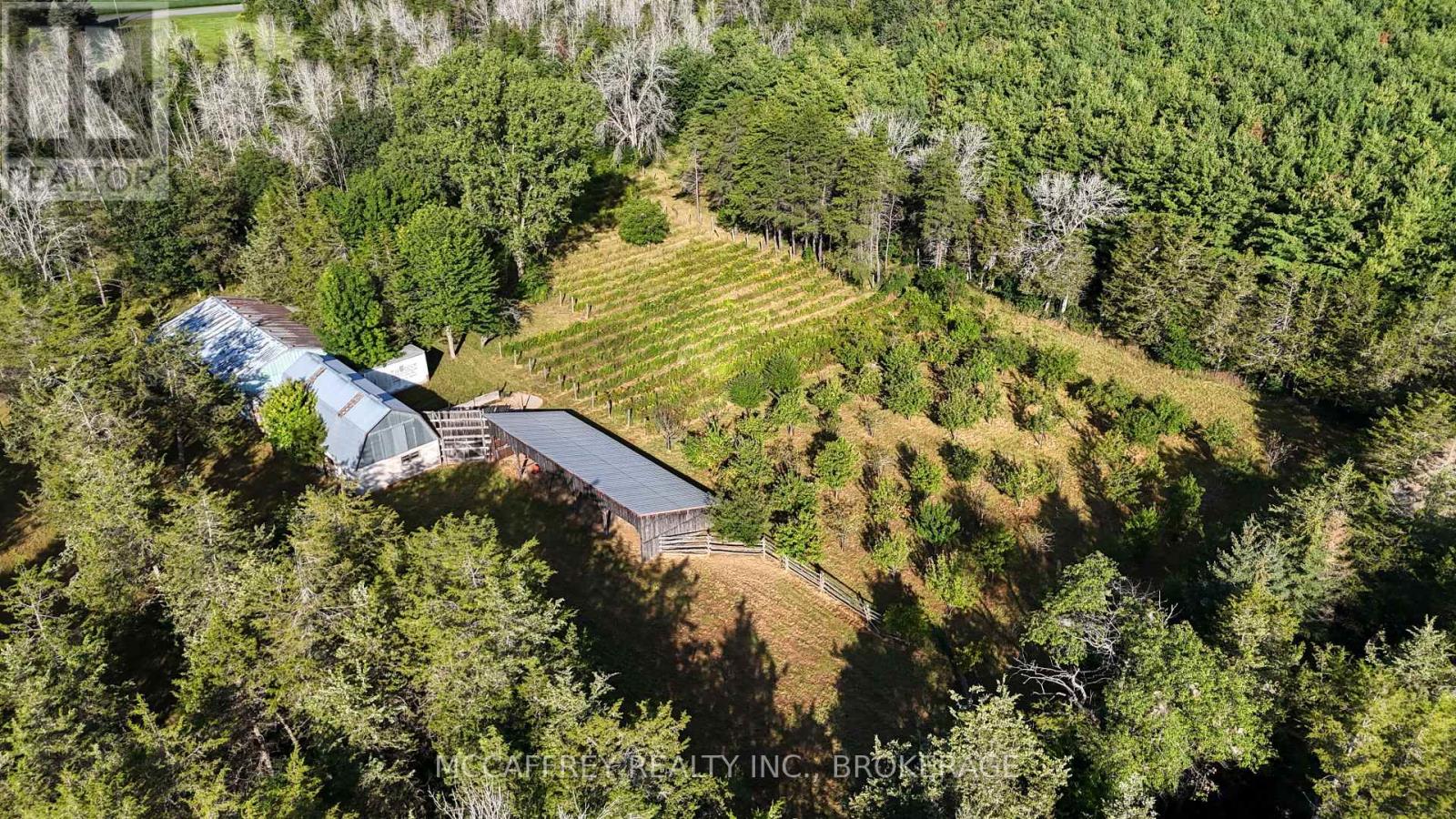 4563 COUNTY RD 9 - Image 45